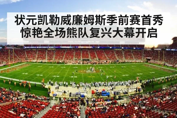 NFL football stadium action
