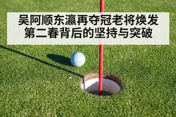 吴阿顺东瀛再夺冠老将焕发第二春背后的坚持与突破